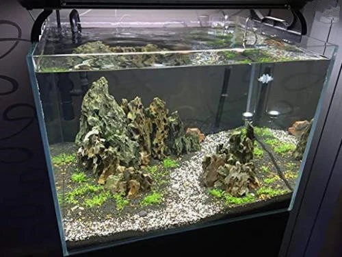 Amphibian Enclosures Natural Slate Rocks Stone Perfect Rocks Seiryu Rock for Aquariums, Landscaping Model